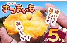 【先行予約】下野市産さつまいも 5kg  | さつまいも 芋 さつまいもご飯 炊き込みご飯 スイートポテト 大学芋 栗きんとん 秋 さつまいも 秋の味覚 栃木県 下野市 しもつけ市