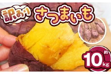 【先行予約】訳あり下野市産さつまいも 10kg  | さつまいも 芋 さつまいもご飯 炊き込みご飯 スイートポテト 大学芋 栗きんとん 秋 さつまいも 秋の味覚 訳あり 大容量 栃木県 下野市 しもつけ市