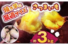 【先行予約】食べやすい焼き芋サイズ 3kg  | さつまいも 芋 さつまいもご飯 炊き込みご飯 スイートポテト 大学芋 栗きんとん 秋 さつまいも 秋の味覚 栃木県 下野市 しもつけ市