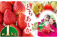 【先行予約】とちあいか約1kg | 送料無料 とちあいか いちご フルーツ 甘い ジューシー苺 ｲﾁｺﾞ ハート ハート型 ﾊｰﾄ 断面 果物 おいしい 栃木県 下野市