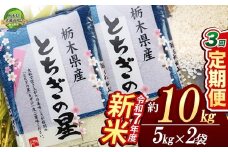 【栃木県共通返礼品】【定期便3回】とちぎの星 10kg（5kg×2袋） | 米 こめ コメ kome 白米 精米 お米 とちぎのほし トチギノホシ ﾄﾁｷﾞﾉﾎｼ 粘り 弾力 冷めても美味しい 丼もの カレー 新米 栃木米 令和7年度米 令和7年度 2025年度米 2025年度 ブランド米 栃木県 特産品 送料無料 栃木県 下野市 しもつけ市