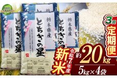 【栃木県共通返礼品】【先行予約】【定期便3回】とちぎの星 20kg（5kg×4袋） | 米 こめ コメ kome 白米 精米 お米 とちぎのほし トチギノホシ ﾄﾁｷﾞﾉﾎｼ 粘り 弾力 冷めても美味しい 丼もの カレー 新米 栃木米 令和7年度米 令和7年度 2025年度米 2025年度 ブランド米 栃木県 特産品 送料無料 栃木県 下野市 しもつけ市