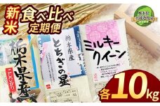 【栃木県共通返礼品】【先行予約】【定期便3回】栃木県産コシヒカリ・ミルキークイーン・とちぎの星食べ比べ定期便10kg |  白米 精米 栃木米 令和7年度新米 2025年度新米 ブランド米 選べる 新米 栃木県共通返礼品 特産品 栃木県 下野市 送料無料