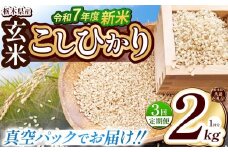 【栃木県共通返礼品】【先行予約】【定期便3回】【数量限定】令和7年度新米 栃木県産こしひかり（玄米真空パック） 2kg  | 定期便あり 玄米 精米 お米 コメ こしひかり 先行予約 ブランド米 栃木県 特産品  下野市 送料無料