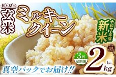 【栃木県共通返礼品】【先行予約】【定期便3回】【数量限定】令和7年度新米 栃木県産ミルキークイーン（玄米真空パック） 2kg  | 定期便 玄米 精米 お米 コメ ミルキークイーン 先行予約 ブランド米 栃木県 特産品  下野市 送料無料