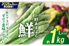 【先行予約】下野あすぱら『鮮』 Lサイズ 1kg  | 先行予約 アスパラ アスパラガス 野菜 選べる内容量 旬野菜 とれたて 春 人気 送料無料 栃木県 下野市