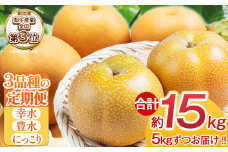 【先行予約】梨定期便3回 | 【栃木県共通返礼品】 大 人気  レビュー リピート 梨 幸水 豊水 にっこり 果物 フルーツ デザート スイーツ たっぷり 果汁 果肉 ジューシー 甘い 高糖度 柔らかな シャキシャキ 果肉 旬 品種 果物 くだもの 定期 定期便 果物定期 果物定期便 送料無料 栃木県 下野市