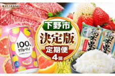 栃木 決定版 定期 下野市を堪能!! まんぷく 定期便 4回 | 紅白いちご 100％ｶｼﾞｭｰﾊｲﾋﾟﾝｸGFﾁｭｰﾊｲ缶 栃木県共通返礼品とちぎ和牛サーロイン 栃木県産こしひかり10kg 月ごとに届くものが変わる 送料無料 栃木県 下野市