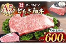 【栃木県共通返礼品】【定期便6回】宮福笑牛(とちぎ和牛) A5 サーロインステーキ　約200gx3枚  | 黒毛 和牛 牛肉 焼肉 とろける 霜降り 赤身 切り落とし ふるさと 納税 イチオシ おすすめ 栃木県 下野市 しもつけ市