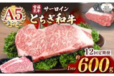 【栃木県共通返礼品】【定期便12回】宮福笑牛(とちぎ和牛) A5 サーロインステーキ　約200gx3枚  | 黒毛 和牛 牛肉 焼肉 とろける 霜降り 赤身 切り落とし ふるさと 納税 イチオシ おすすめ 栃木県 下野市 しもつけ市