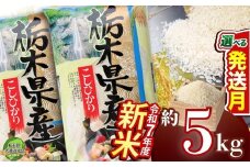 【10月発送】コシヒカリ 5kg【栃木県共通返礼品】 | 米 こめ コメ kome 白米 精米 お米 こしひかり ｺｼﾋｶﾘ 新米 栃木米 令和7年度米 令和7年度 2025年度米 2025年度 ブランド米 栃木県 特産品 送料無料 栃木県 下野市 しもつけ市