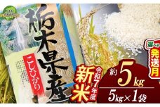 【11月発送】コシヒカリ 5kg【栃木県共通返礼品】 | 米 こめ コメ kome 白米 精米 お米 こしひかり ｺｼﾋｶﾘ 新米 栃木米 令和7年度米 令和7年度 2025年度米 2025年度 ブランド米 栃木県 特産品 送料無料 栃木県 下野市 しもつけ市