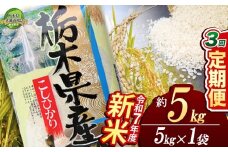 【定期便3回】コシヒカリ 5kg【栃木県共通返礼品】 | 米 こめ コメ kome 白米 精米 お米 こしひかり ｺｼﾋｶﾘ 新米 栃木米 令和7年度米 令和7年度 2025年度米 2025年度 ブランド米 栃木県 特産品 送料無料 栃木県 下野市 しもつけ市