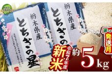 【11月発送】とちぎの星 5kg【栃木県共通返礼品】 | 米 こめ コメ kome 白米 精米 お米 とちぎのほし トチギノホシ ﾄﾁｷﾞﾉﾎｼ 粘り 弾力 冷めても美味しい 丼もの カレー 新米 栃木米 令和7年度米 令和7年度 2025年度米 2025年度 ブランド米 栃木県 特産品 送料無料 栃木県 下野市 しもつけ市