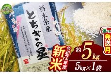 【11月発送】とちぎの星 5kg【栃木県共通返礼品】 | 米 こめ コメ kome 白米 精米 お米 とちぎのほし トチギノホシ ﾄﾁｷﾞﾉﾎｼ 粘り 弾力 冷めても美味しい 丼もの カレー 新米 栃木米 令和7年度米 令和7年度 2025年度米 2025年度 ブランド米 栃木県 特産品 送料無料 栃木県 下野市 しもつけ市