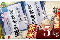 【定期便3回】とちぎの星 5kg【栃木県共通返礼品】 | 米 こめ コメ kome 白米 精米 お米 とちぎのほし トチギノホシ ﾄﾁｷﾞﾉﾎｼ 粘り 弾力 冷めても美味しい 丼もの カレー 新米 栃木米 令和7年度米 令和7年度 2025年度米 2025年度 ブランド米 栃木県 特産品 送料無料 栃木県 下野市 しもつけ市
