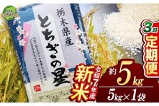 【定期便3回】とちぎの星 5kg【栃木県共通返礼品】 | 米 こめ コメ kome 白米 精米 お米 とちぎのほし トチギノホシ ﾄﾁｷﾞﾉﾎｼ 粘り 弾力 冷めても美味しい 丼もの カレー 新米 栃木米 令和7年度米 令和7年度 2025年度米 2025年度 ブランド米 栃木県 特産品 送料無料 栃木県 下野市 しもつけ市