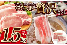 下野市 黒沢牧場 やんちゃ豚贅沢セット 約 1.5kg  | 肉 豚肉 豚 ロース しゃぶしゃぶ しゃぶしゃぶ用 やんちゃ豚 栃木県 特産品 下野市 しもつけ市