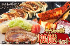 下野市 黒沢牧場 やんちゃ豚堪能セット ロース 約1kg やんちゃ豚餃子 24個  ニンニクたっぷり人力餃子 24個 | 餃子 ロース 豚 肉 豚餃子 やんちゃ豚 人力餃子 栃木県 特産品 下野市 しもつけ市