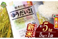 【12月発送】ゆうだい21 5kg 【栃木県共通返礼品】 | 米 こめ コメ kome 白米 精米 お米 ゆうだい ユウダイ ﾕｳﾀﾞｲ 新米 栃木米 大粒 粘り 甘み お弁当 おにぎり 令和7年度米 令和7年度 2025年度米 2025年度 ブランド米 栃木県 特産品 送料無料 栃木県 下野市 しもつけ市