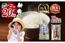 下野市産とちぎの星 2kg |  米 こめ コメ kome 白米 精米 お米 とちぎのほし トチギノホシ 新米 栃木米 令和7年度米 令和7年度 2025年度米 2025年度 ブランド米 栃木県 特産品 送料無料 栃木県 下野市 しもつけ市