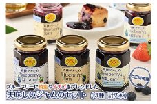 上三川産のブルーベリーに蜂蜜やイチゴをブレンドした美味しいジャムのセット(3種　計7本)
