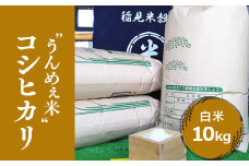 [令和6年度産] 栃木県上三川町産コシヒカリ・白米 (10kg×1袋) ◇ | 国産 栃木県産 コシヒカリ 米 お米 単一原料米 精米 白米 栃木米 とちぎ米 産地直送 送料無料