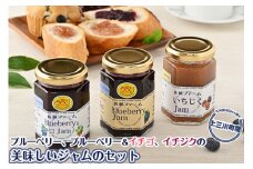 上三川産のブルーベリー、ブルーベリー＆イチゴ、イチジクの美味しいジャムのセット