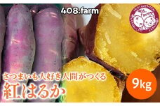 ☆9キロ☆ さつまいも大好き人間の紅はるか ～「上三川町」って読めますか？～