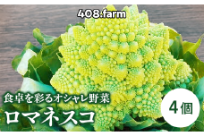 食卓を彩るオシャレ野菜・ロマネスコ（4個） ※2025年1月中旬頃～2月中旬頃に順次発送予定