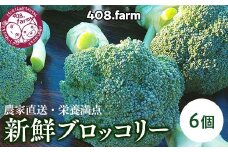 農家直送・栄養満点☆新鮮ブロッコリー！　※2024年11月中旬頃～順次発送予定