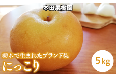 栃木県産梨「にっこり」 梨 なし 5kg
※北海道・沖縄・離島への配送不可
※2024年10月中旬から順次発送予定