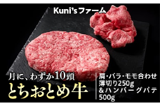 とちおとめ牛　肩・バラ・モモ合わせ薄切り250g＆ハンバーグパテ500gセット 牛肉 ハンバーグ