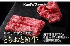 とちおとめ牛　肩すき焼き250g&肩・バラ・モモ合わせ薄切り250gセット