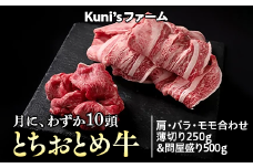 とちおとめ牛　肩・バラ・モモ合わせ薄切り250g&問屋盛り500gセット