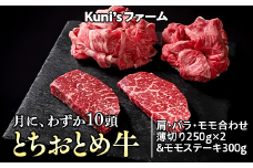 とちおとめ牛　肩・バラ・モモ合わせ薄切り250g×2&モモステーキ300gセット