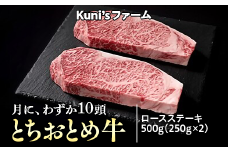 とちおとめ牛　ロースステーキ500g(250g×2)