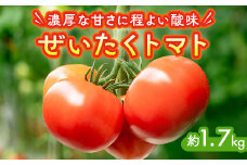 ぜいたくトマト 約1.7kg
