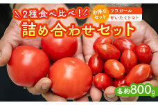 うえの農園トマト詰め合わせセット ぜいたくトマト ミニトマト
