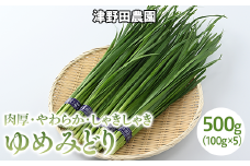 とちぎのニラ「ゆめみどり」500g (100g×5束) にら 栃木県産 肉厚 　※2024年1月～3月頃に順次発送予定