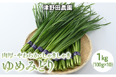 とちぎのニラ「ゆめみどり」1kg (100g×10束) にら 栃木県産 肉厚　※2024年1月～3月頃に順次発送予定
