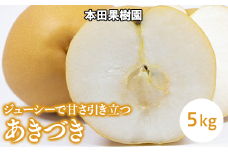 栃木県産梨「あきづき」 梨 なし 5kg ※北海道・沖縄・離島への配送不可 ※2025年9月下旬頃より順次発送予定