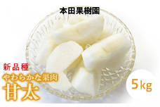 栃木県産梨「甘太」 梨 なし 5kg
※北海道・沖縄・離島への配送不可
※2025年9月下旬頃より順次発送予定