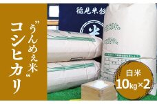 [令和6年度産]栃木県上三川町産コシヒカリ・白米 (10kg×2袋) ◆ | 国産 栃木県産 コシヒカリ 米 お米 単一原料米 精米 白米 栃木米 とちぎ米 産地直送 送料無料