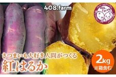 ☆2キロ☆ お試し・少量♡ さつまいも大好き人間のネットリ系 さつまいも・紅はるか ！～「上三川町」って読めますか？～