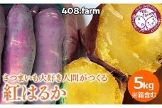 追熟済み！箱含め5キロ以内☆紅はるか　さつま芋　薩摩芋　さつまいも　べにはるか　5kg　※2025年1月下旬頃までに順次発送予定