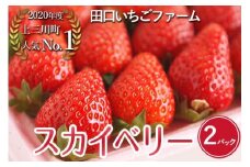 田口いちごファームの いちご スカイベリー ※2025年1月中旬～2月下旬頃に順次発送予定 ※北海道、沖縄、四国、九州、離島への配送不可