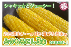 シャキッ☆とジューシー！お日様をい～っぱい浴びた栃木の とうもろこし 3本【少量お試し】