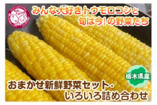みんな大好きトウモロコシと旬は今！の野菜たち【栃木県産おまかせ新鮮野菜セット・いろいろ詰め合わせ】｜ にんじん オクラ きゅうり じゃがいも トマト 玉ねぎ 大根 枝豆…　※2022年6月～8月頃に順次発送予定