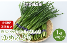 【通常配送】とちぎのニラ「ゆめみどり」1kg ≪定期便≫
